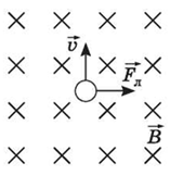 02010pol-58d4-157x162.png