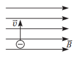 02010pp3-66e5-147x113.png