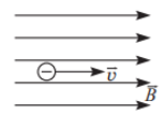02010pp4-93bc-147x112.png