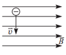 02010pp6-d365-136x115.png