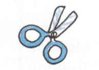 02010qao-8771-193x137.png