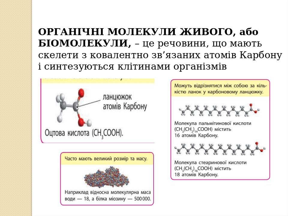 Презентація на тему: " «ОРГАНІЧНІ МОЛЕКУЛИ. БІОПОЛІМЕРИ» | Презентація ...