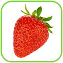 02010qll-e8cc-125x124.png