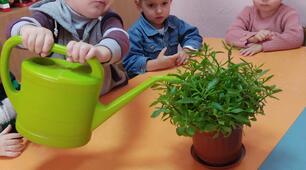 Конспект заняття "Напоїмо тваринку, напоїмо рослинку".