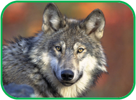 02010sm1-7097-280x205.png
