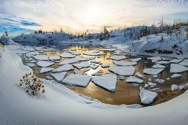 Фотовыставка «Дикая природа России» от журнала National Geographic в Петербурге