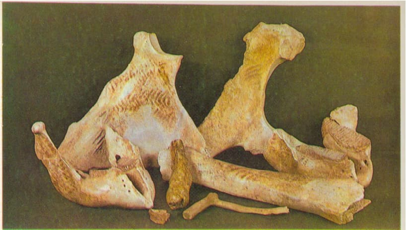 02010syh-c05a-790x447.png