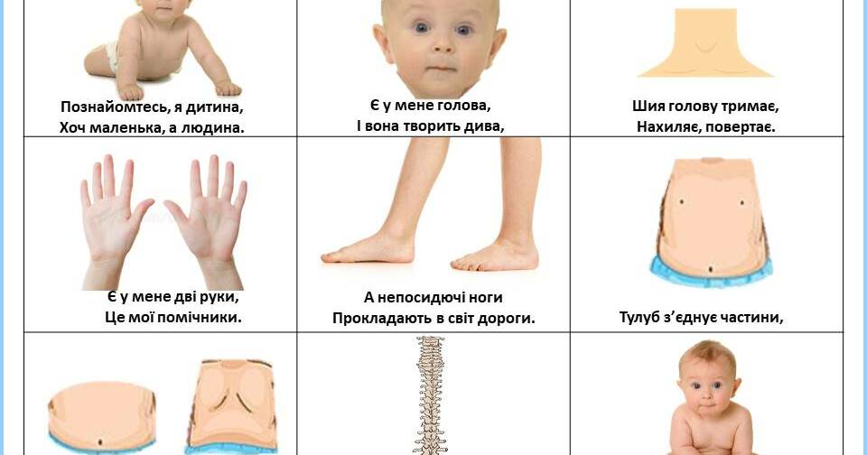 Мнемотаблиця до вірша Н. Карпенко "Будова тіла" | Ілюстрації. Дошкільна ...
