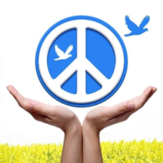 02010t8a-cb66-237x237.png