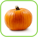 02010vq0-b67b-129x128.png