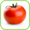02010vq2-559d-126x125.png