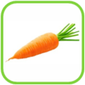 02010vq3-f1eb-122x122.png