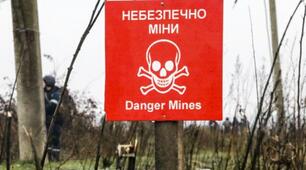 «Стрілецька зброя та поводження з нею». «Міни та вибухові пристрої»