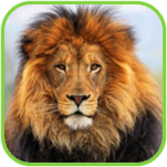 02010vxz-c494-151x151.png
