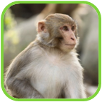 02010vy2-6d12-150x151.png