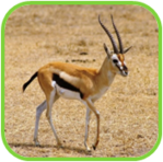 02010vyg-4504-149x148.png