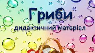 Вчителю НУШ. Дидактичний матеріал «Гриби»