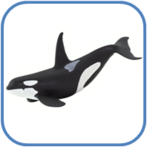 02010wnu-5322-147x147.png
