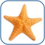 02010wnw-fd40-151x151.png