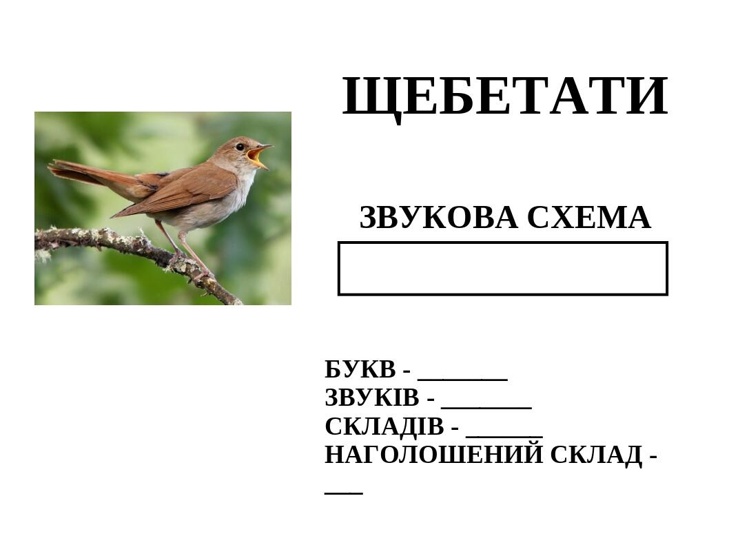 Презентація 1. Звукові схеми