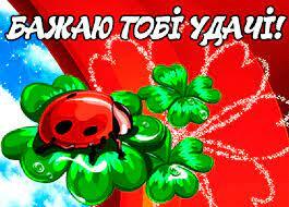 02010y8z-cf78-393x282.jpg