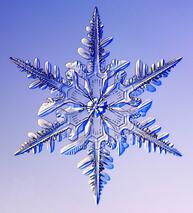 02011083-c74e-193x213.jpg