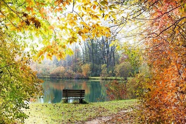 жовтень осінь | То є Львів.