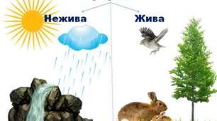Подорожуємо живою та неживою природою