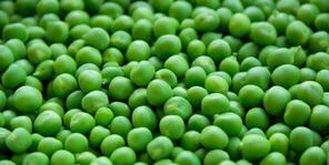 Сев гороха в Украине выполнен на 49% от прогноза – МинАПП | Seeds