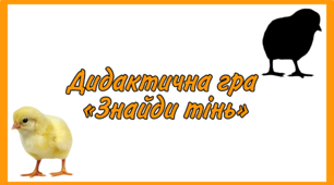 Дидактична гра «Знайди тінь»