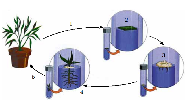 0201163c-8f95-602x335.png