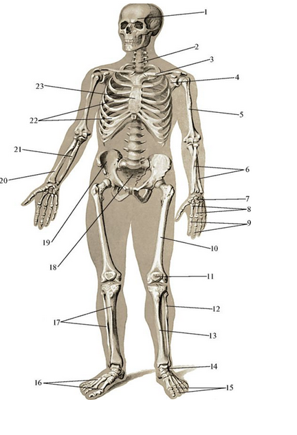 020117xs-3a27-432x632.png