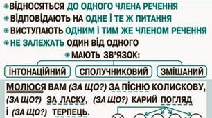 Презентація "Однорідні члени речення"