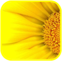 02011a2h-9237-123x122.png