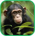 02011a9f-4878-118x119.png
