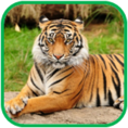 02011a9g-a93d-118x118.png