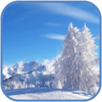 02011b8e-0321-146x145.png