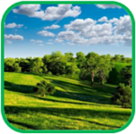 02011b8i-29d8-151x149.png