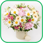 02011b9u-1585-152x152.png