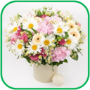 02011b9x-c642-128x128.png
