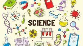 Science and branches of science