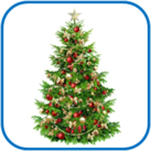 02011bd9-140b-137x137.png