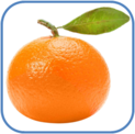 02011bha-1b72-123x122.png