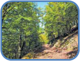 02011bks-d246-161x123.png
