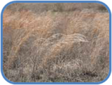 02011bkt-6f31-160x122.png