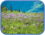 02011bkv-38a7-158x121.png