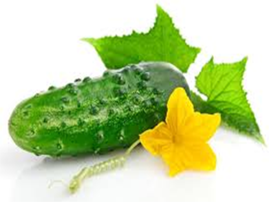 02011bv1-c4f4-940x705.png