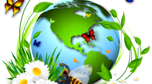 Презентація проєкту "Green planet"