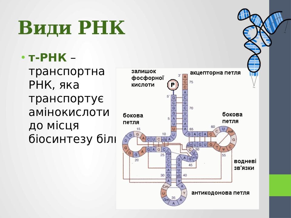 Виды трнк