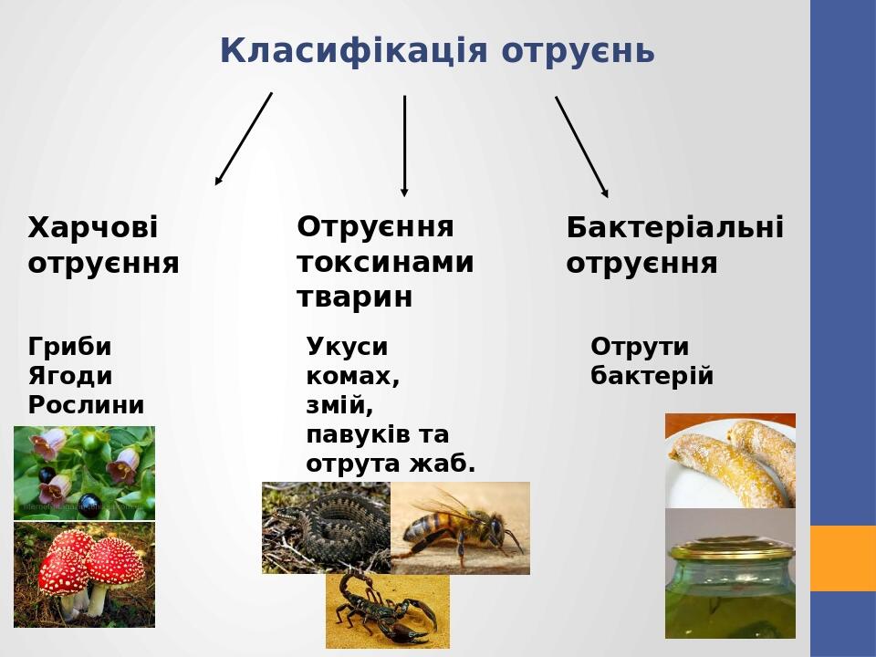 Класифікація отруєнь Харчові отруєння Гриби Ягоди Рослини Отруєння токсинами тварин Укуси комах, змій, павуків та отрута жаб. Бактеріальні отруєння...